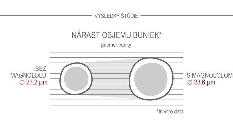 Magnolol zväčšuje objem buniek