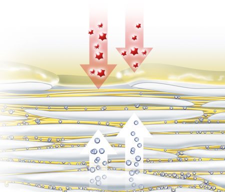 Obrázok vyparovania prirodzených hydratačných faktorov z pokožky