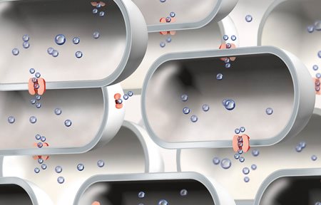 Obrázok zníženého množstvo aquaporínov