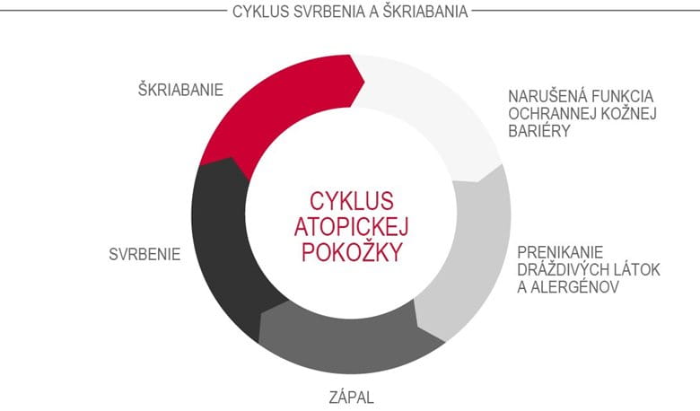 Cyklus atopickej pokožky (cyklus svrbenia a škriabania)